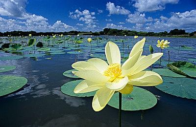 找出伪装的AI 多人合作生存游戏《拟态》进行封闭测试